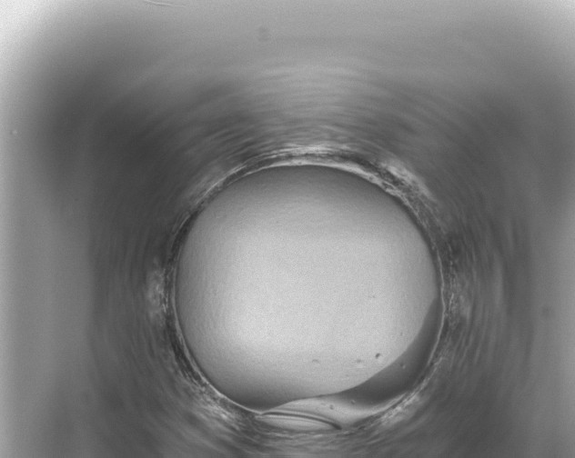 X0000068261353200605051738