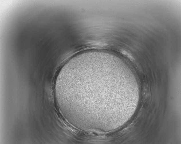 X0000068261354200605051738