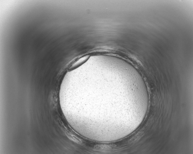 X0000068261355200605051738