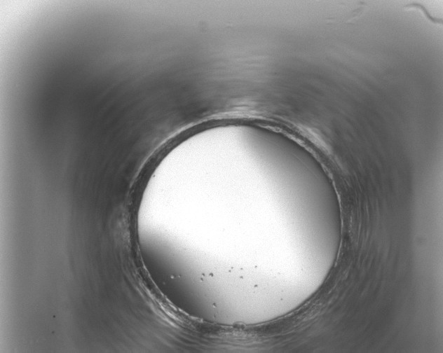 X0000068261356200605051738