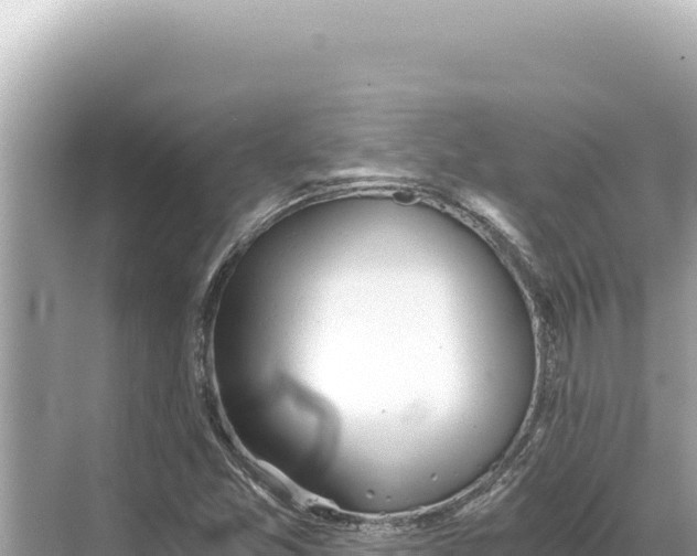 X0000068261357200605051738