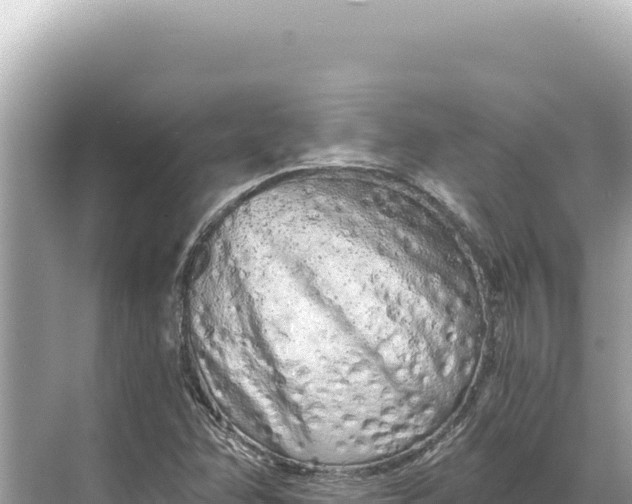 X0000068261358200605051738