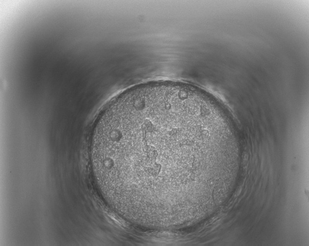 X0000068261359200605051738