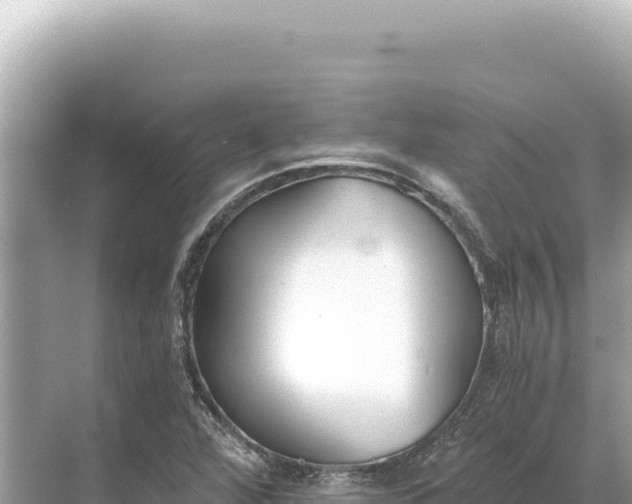 X0000068261360200605051738