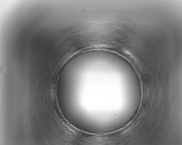 X0000068261361200605051738