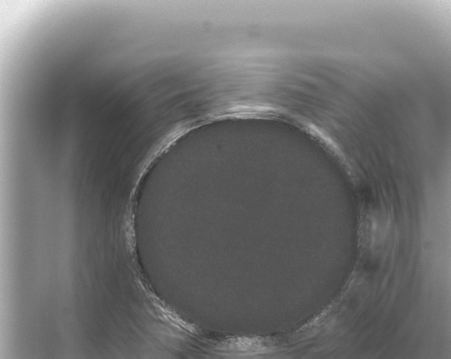 X0000068261362200605051738