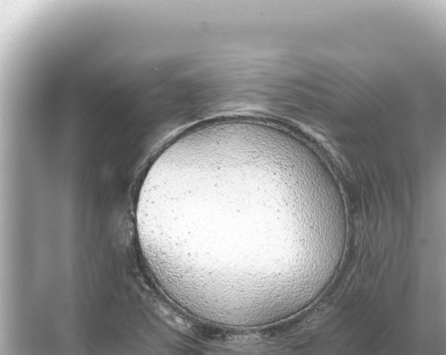 X0000068261363200605051738