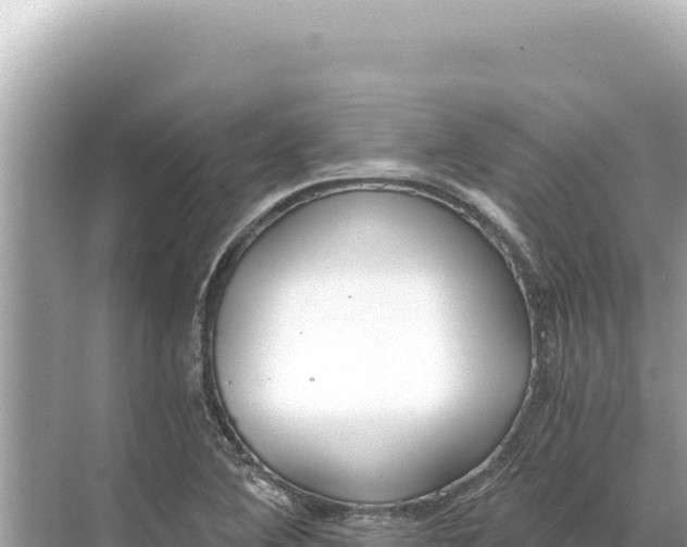 X0000068261364200605051738