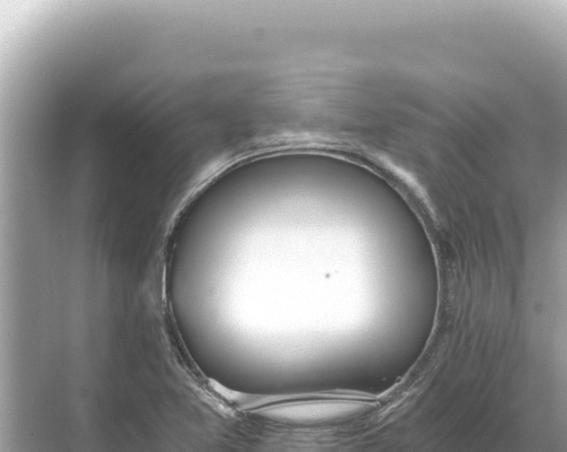 X0000068261365200605051738