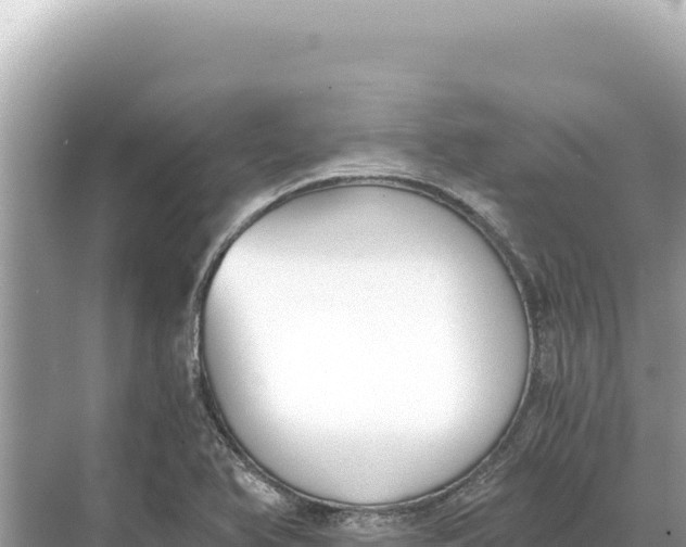 X0000068261366200605051738