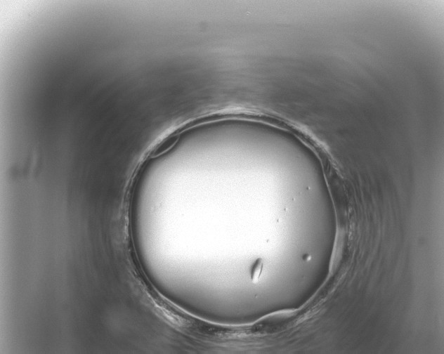 X0000068261367200605051738