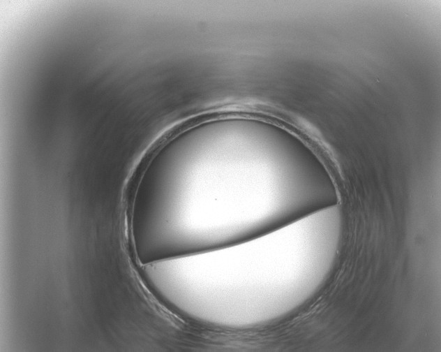 X0000068261368200605051738