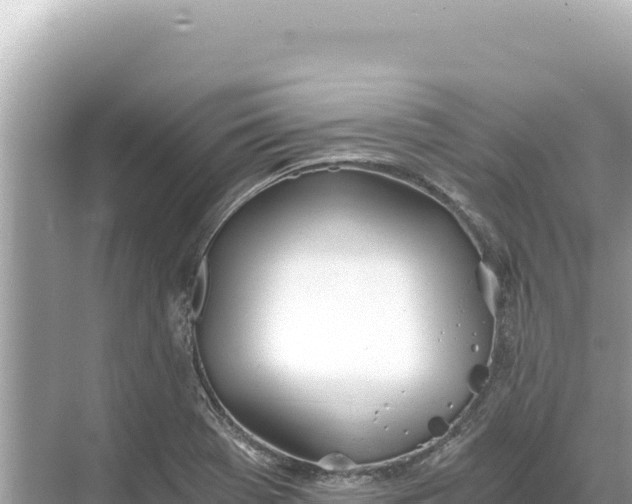 X0000068261369200605051738