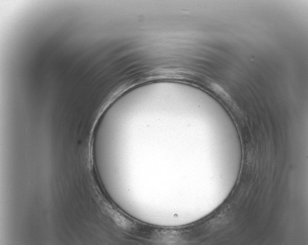 X0000068261370200605051738