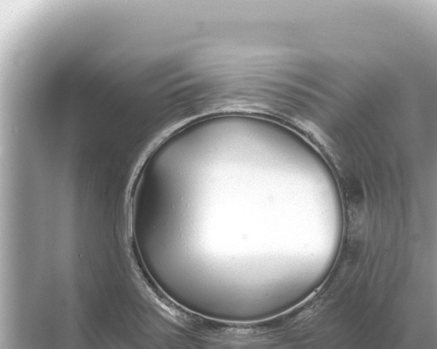 X0000068261371200605051738