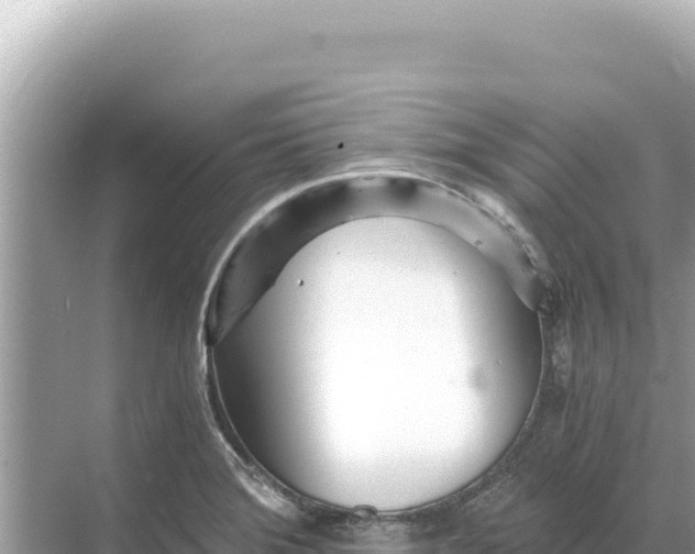 X0000068261372200605051738