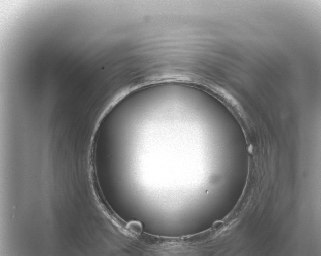 X0000068261373200605051738