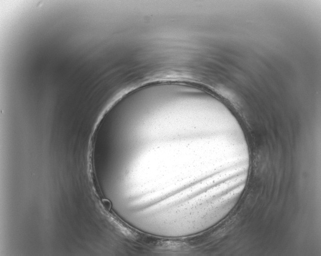 X0000068261374200605051738