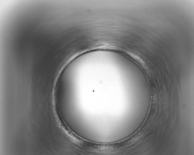 X0000068261375200605051738