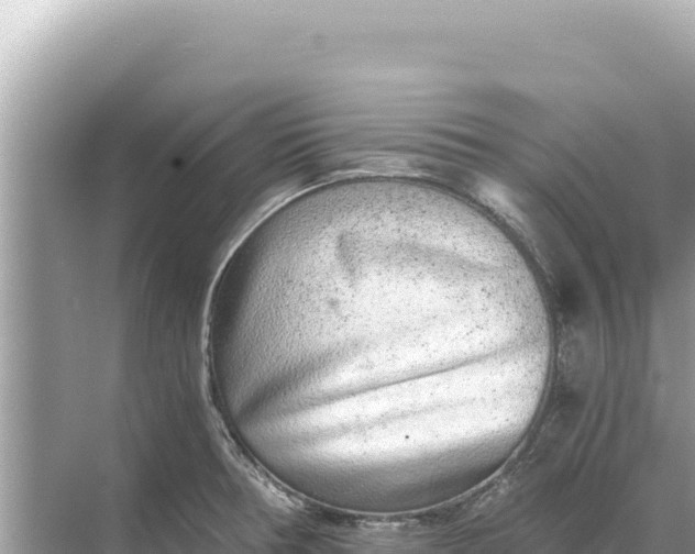 X0000068261378200605051738