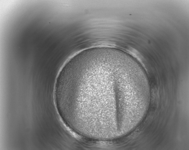 X0000068261379200605051738