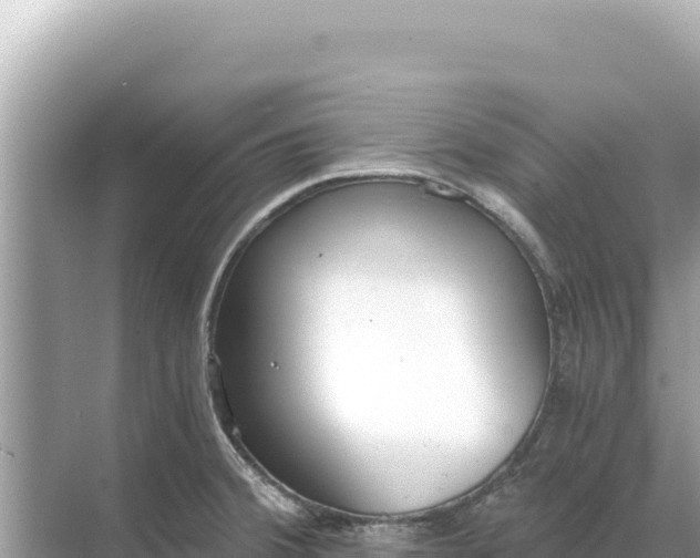 X0000068261380200605051738