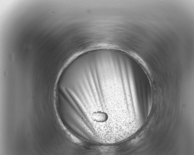 X0000068261381200605051738