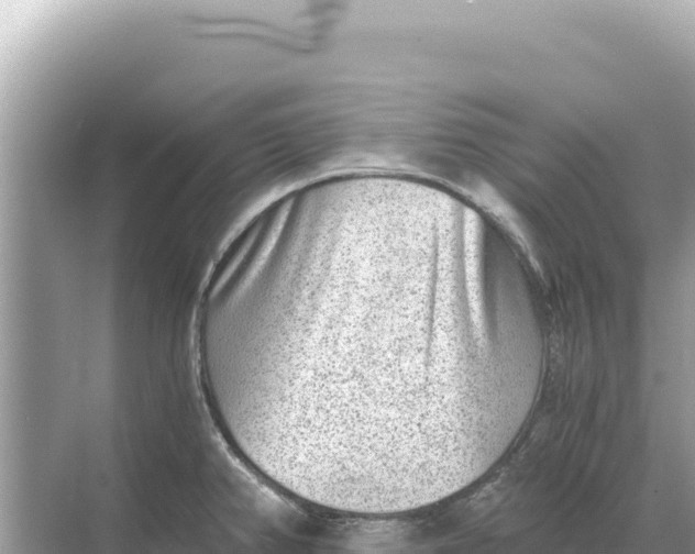 X0000068261382200605051738