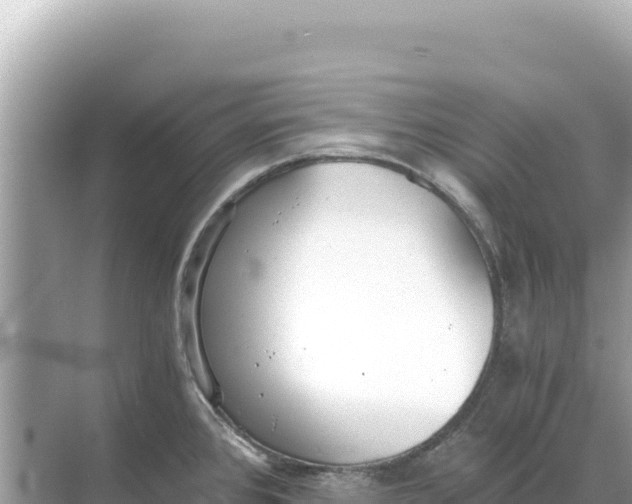 X0000068261384200605051738