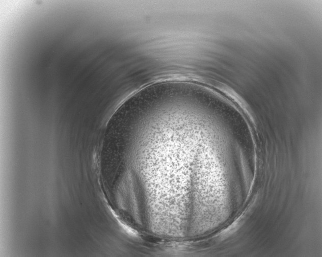 X0000068261385200605051738