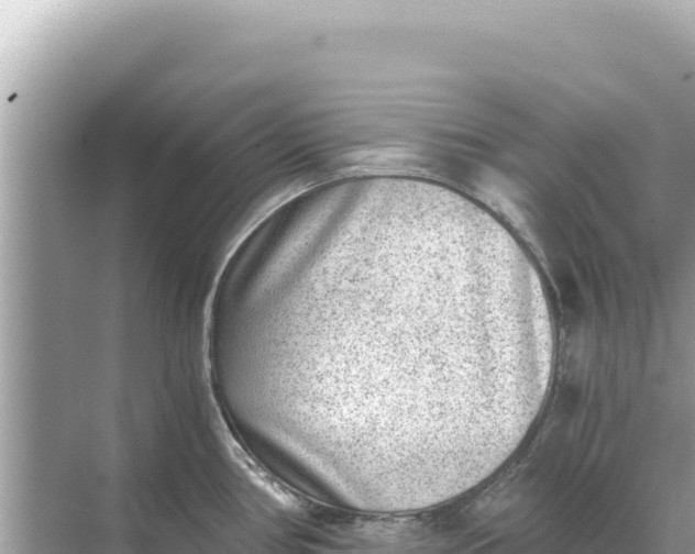 X0000068261386200605051738