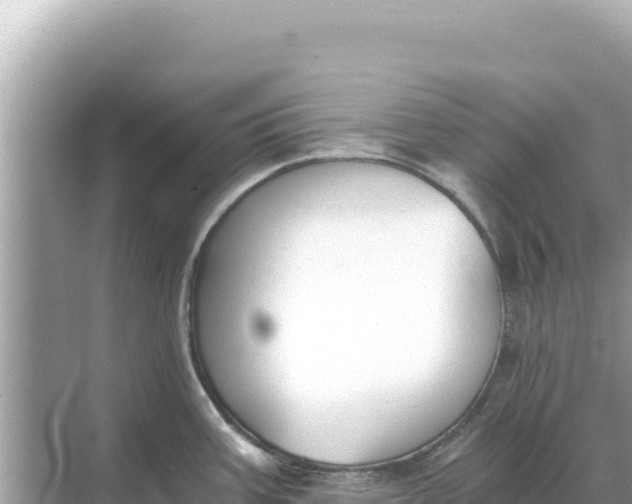 X0000068261387200605051738