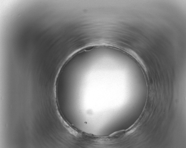 X0000068261388200605051738