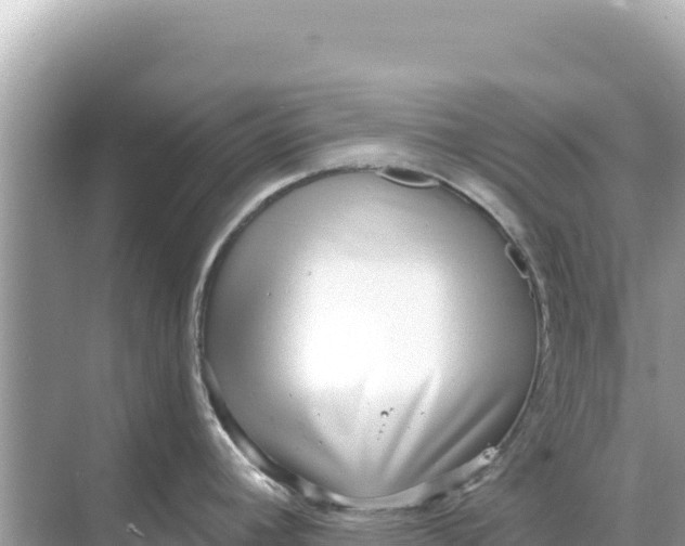 X0000068261392200605051738