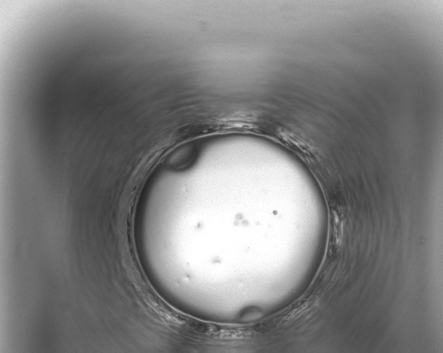 X0000068261393200605051737