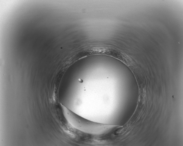 X0000068261394200605051737