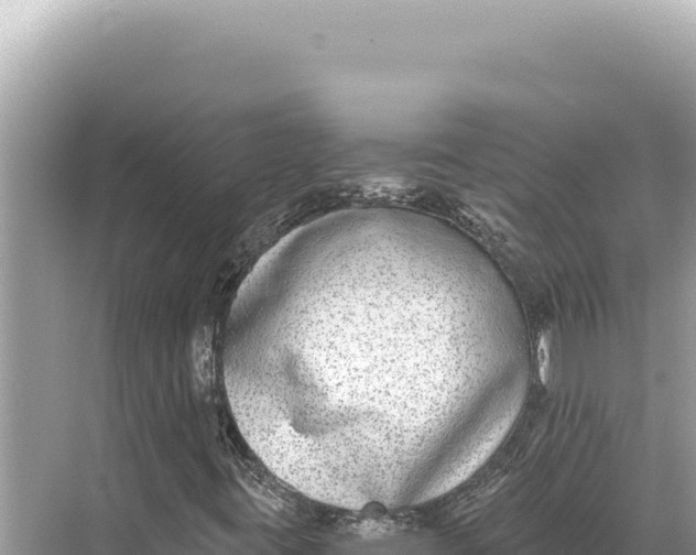 X0000068261395200605051737