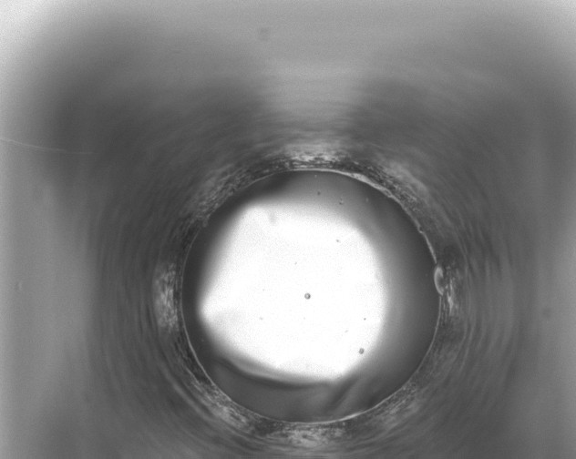 X0000068261396200605051737