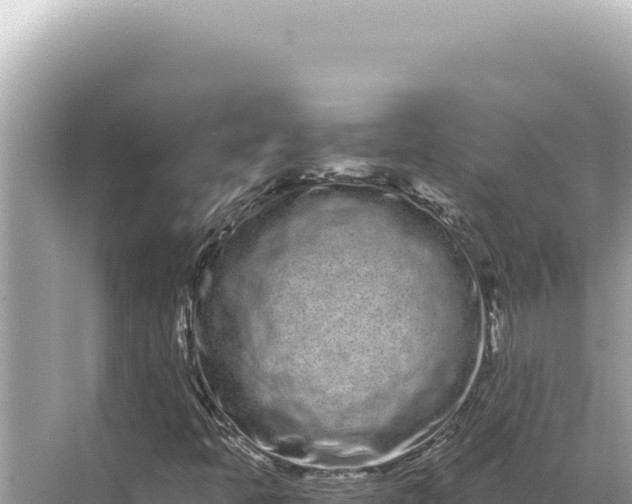 X0000068261397200605051737