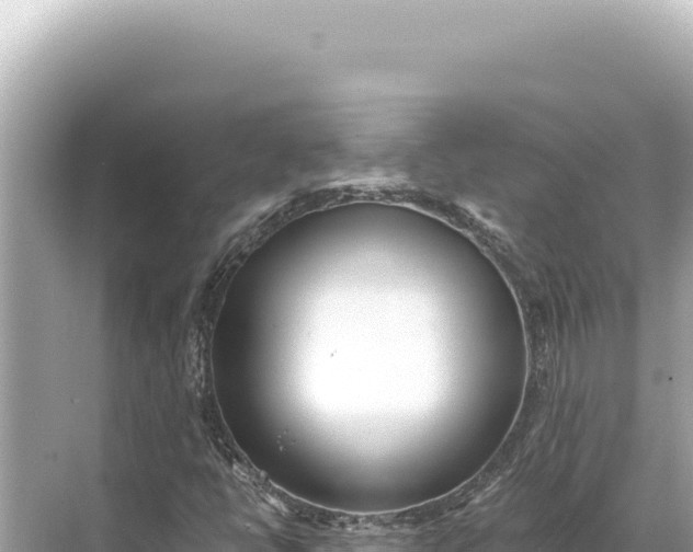 X0000068261398200605051737