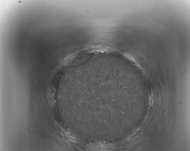 X0000068261399200605051737