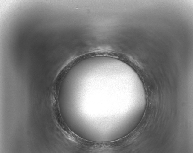 X0000068261400200605051737