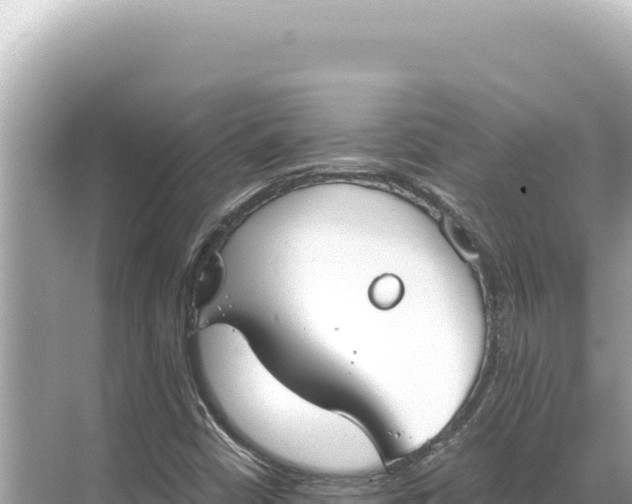 X0000068261402200605051737