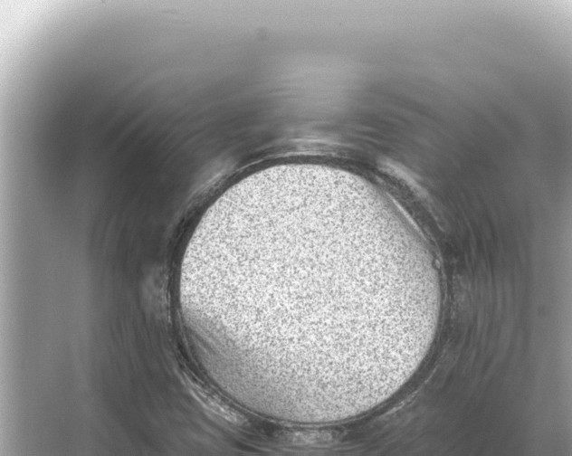 X0000068261403200605051737