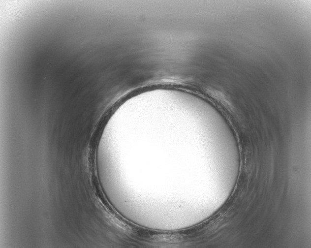 X0000068261404200605051737