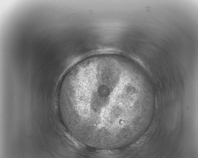 X0000068261405200605051737