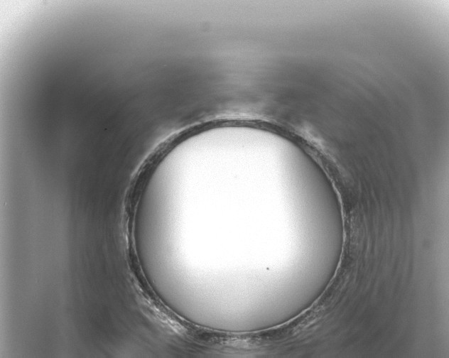 X0000068261408200605051737