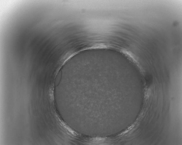 X0000068261409200605051737