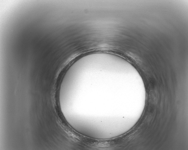 X0000068261410200605051737