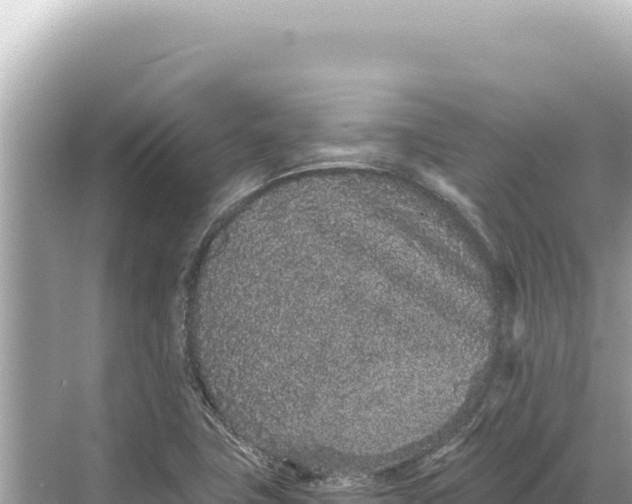 X0000068261411200605051737